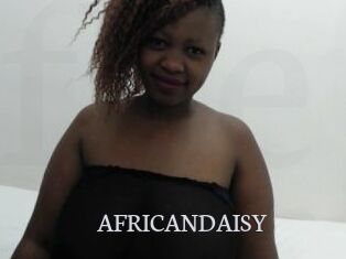 AFRICANDAISY