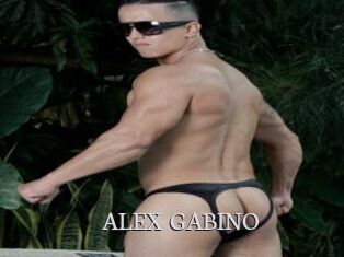 ALEX_GABINO