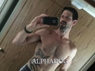 ALPHADOG