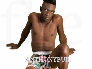 ANTHONYBUIL