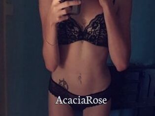AcaciaRose