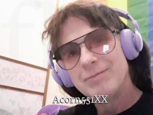 Acorn551XX