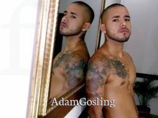 AdamGosling