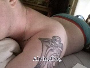 Alphie_Dog