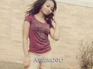 Amina2017
