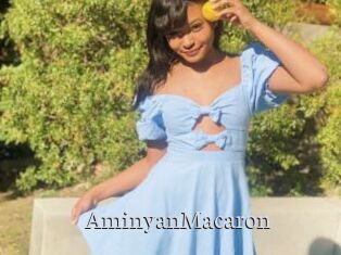 AminyanMacaron