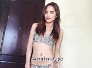 Anal_mouse