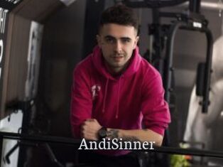 AndiSinner