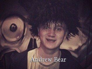 Andrew_Bear