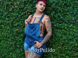 AndyPulido