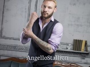 AngelloStallion