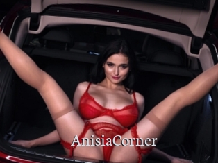 AnisiaCorner
