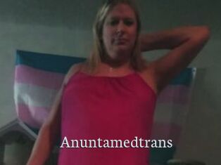 Anuntamedtrans