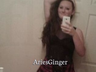 AriesGinger