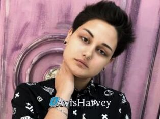 AvisHarvey