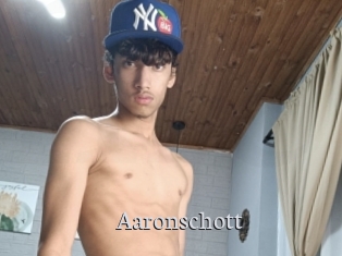 aaronschott Free Host Empire