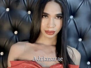 Adrianarae