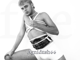 Agnidush66
