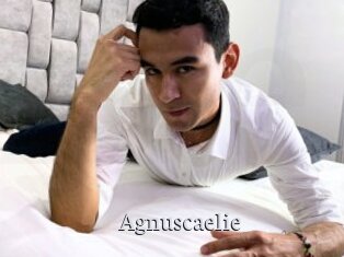 Agnuscaelie