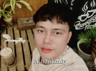 Aidenlandy