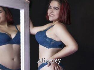 Alicerey