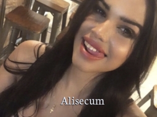 Alisecum