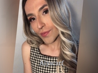 Alyscarf