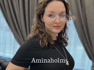 Aminaholms