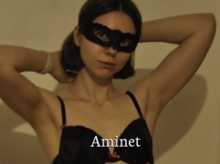 Aminet