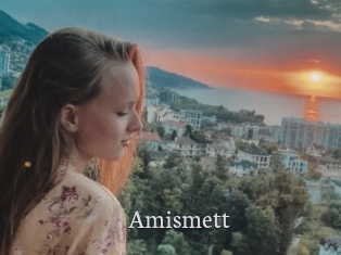 Amismett