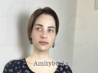 Amityburks