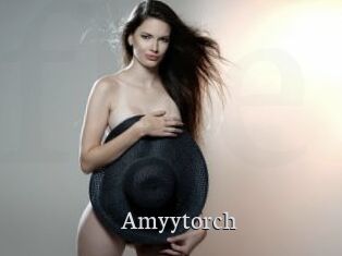 Amyytorch