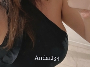 Anda1234