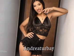 Andreaturbay