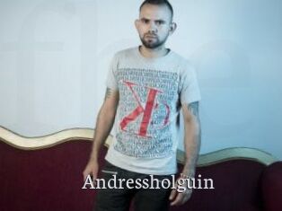 Andressholguin