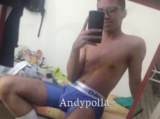 Andypolla