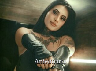 Anieduarte