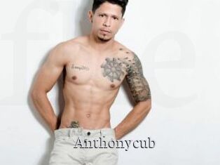 Anthonycub