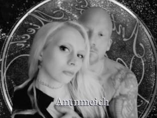 Antnmeich
