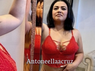 Antoneellaacruz