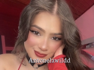 Antonelawildd