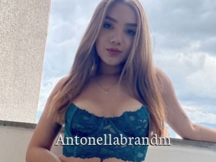 Antonellabrandm