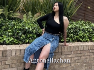 Antonellachan