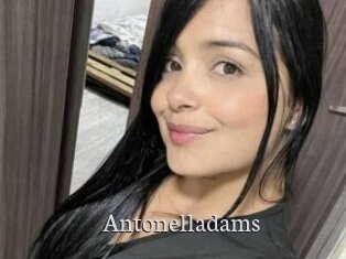 Antonelladams