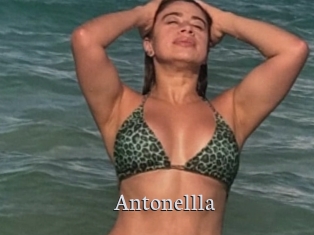 Antonellla