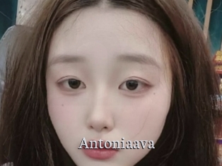 Antoniaava