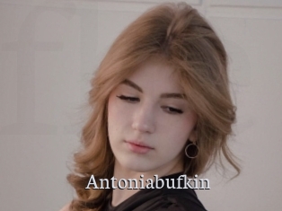 Antoniabufkin