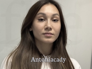 Antoniacady