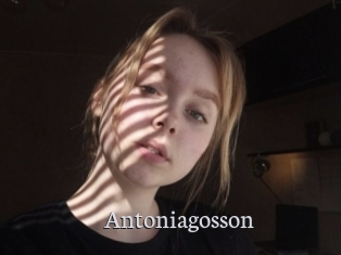 Antoniagosson