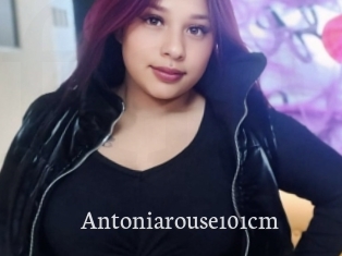 Antoniarouse101cm